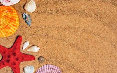 7 Consejos para evitar robos en vacaciones