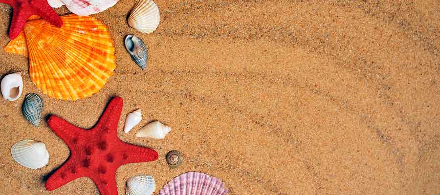 7 Consejos para evitar robos en vacaciones